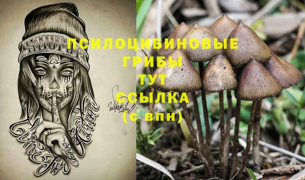 apvp Нея