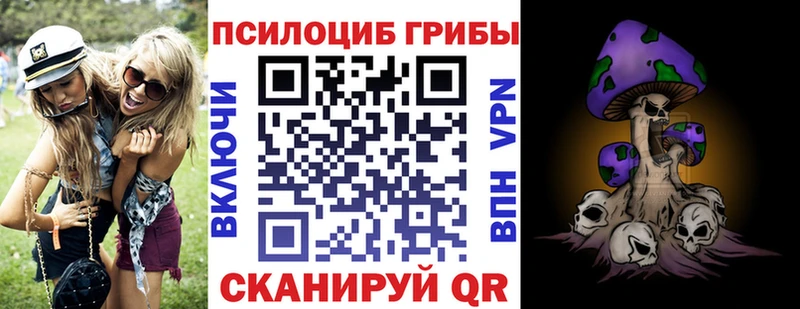 Псилоцибиновые грибы MAGIC MUSHROOMS  Купить где  Шилка 